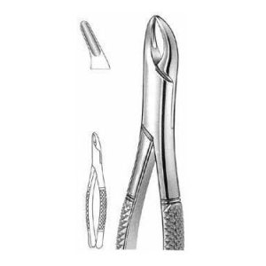 Hulls Extracting Forceps # 101, American Pattern