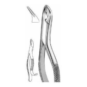 Extracting Forceps # 103, American Pattern