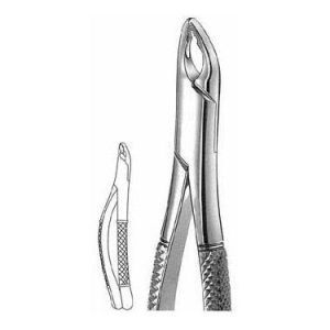 Extracting Forceps # 150 Xas, American Pattern