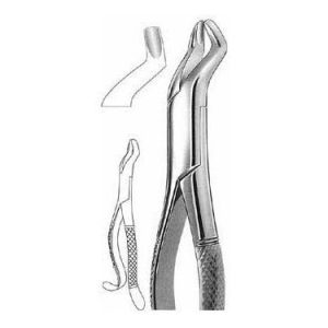 Extracting Forceps # 210 H, American Pattern