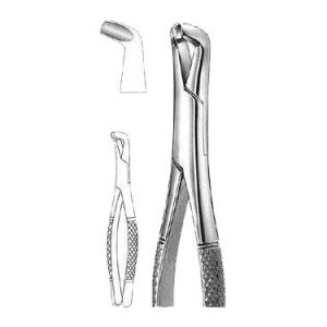 Extracting Forceps # 222, American Pattern