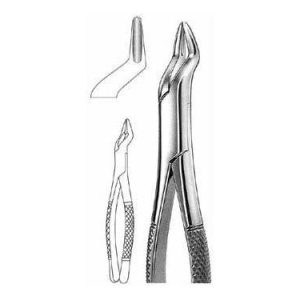 Extracting Forceps # 286, American Pattern