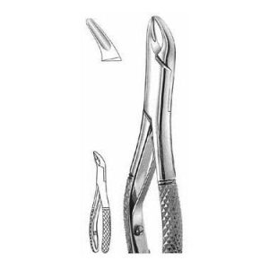 Extracting Forceps # 150 Sk, American Pattern