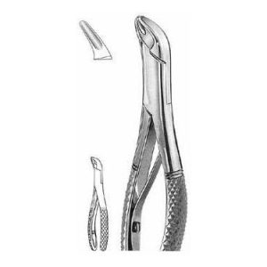 Extracting Forceps # 151 Sk, American Pattern