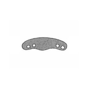 Premolars