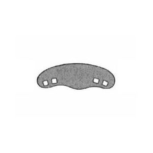 Premolars