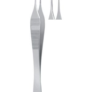 Adson Tissue Forceps, 120mm, 1 x 2 Teeth, Standard, Straight