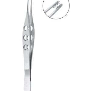 Alfonso Nucleus Grasping Forceps, 105mm, Two Short Rows Of Delicate Interlocking Teeth