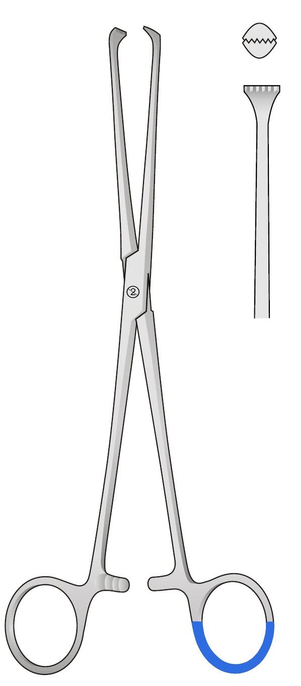 ALLIS Tissue Forceps (Single use)